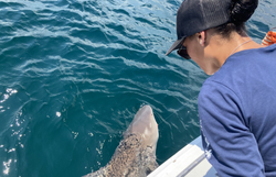 Fishing fun in the sun!